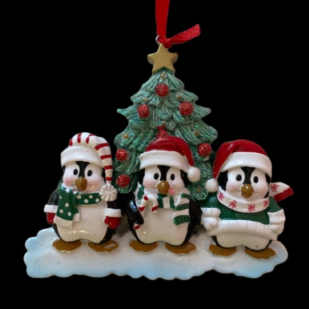 Brand New customizable ornament